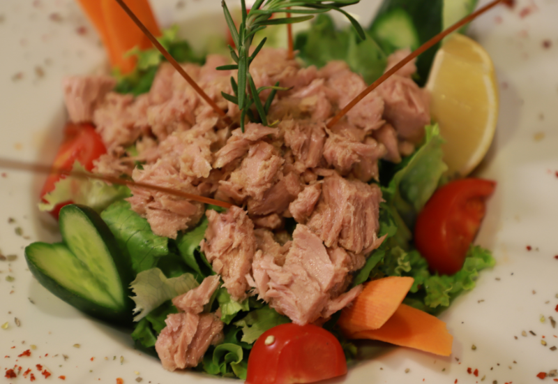 6 benefícios do atum para a saúde