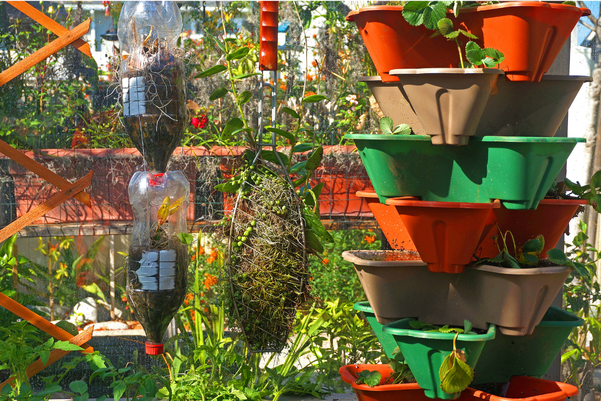 Como montar uma horta vertical em casa