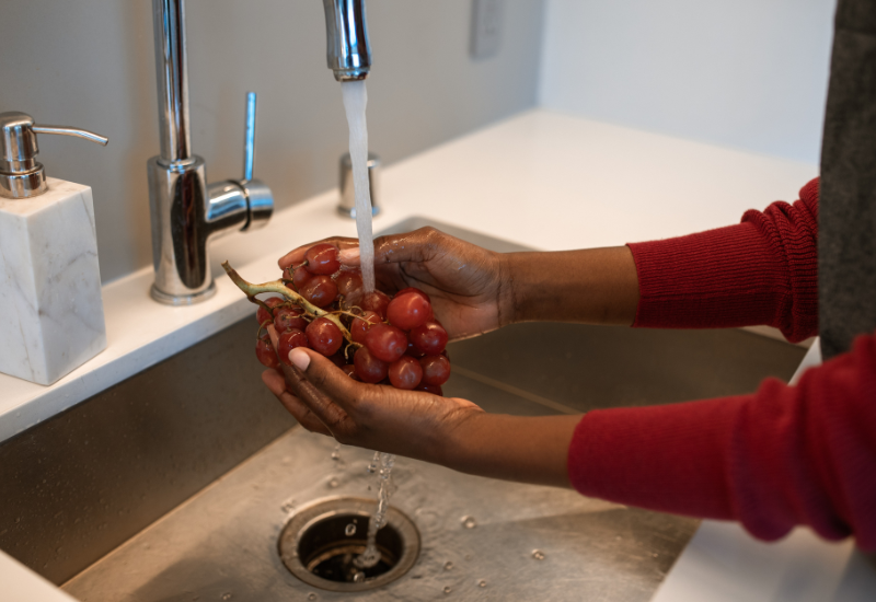 Dicas de como evitar que as frutas estraguem