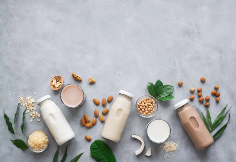 3 opções de leites vegetais para quem é intolerante à lactose