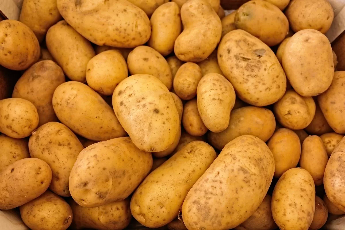 Comer batata todo dia faz mal? Descubra agora!