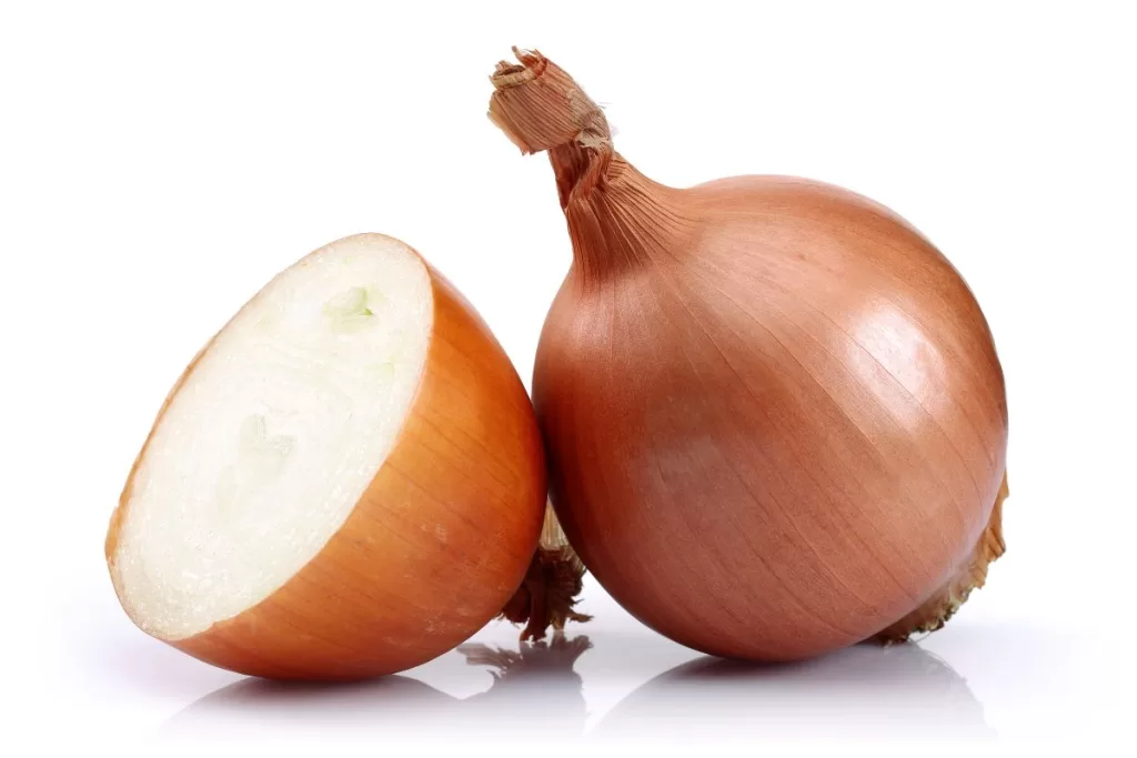 cebola