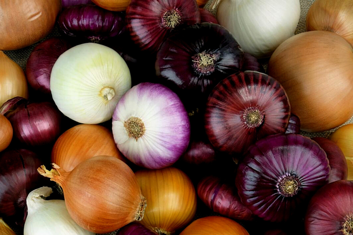 Cebola roxa x cebola branca: quais as diferenças e benefícios?