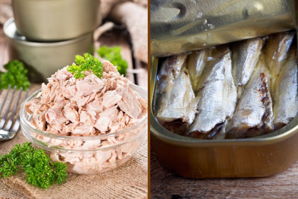 sardinha