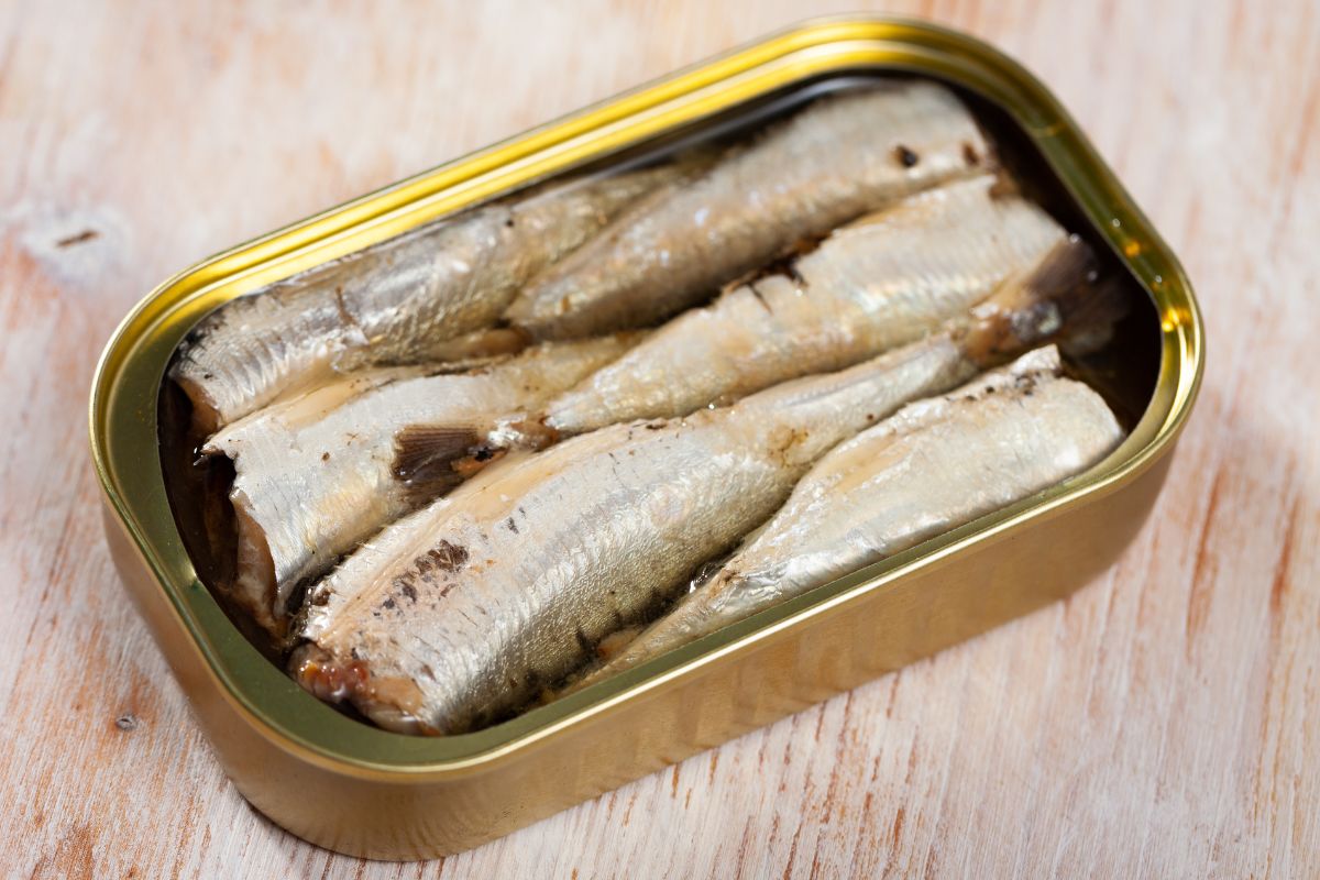 Para substituir o atum: conheça os benefícios da sardinha
