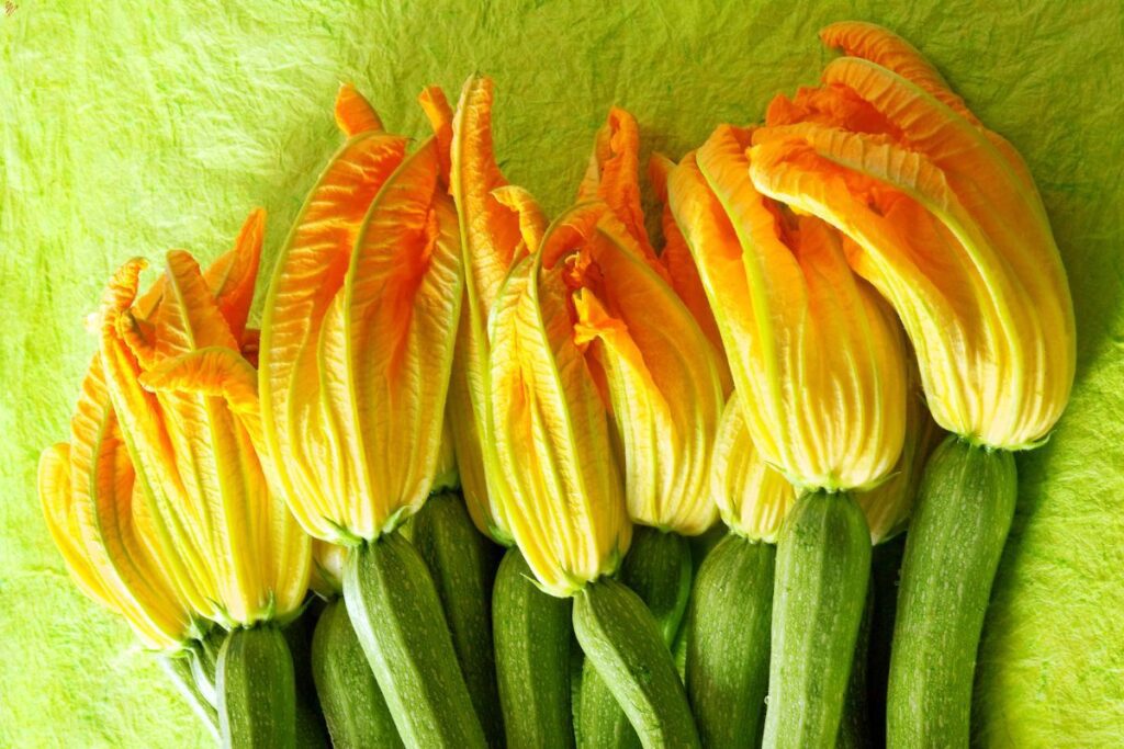 flores comestíveis