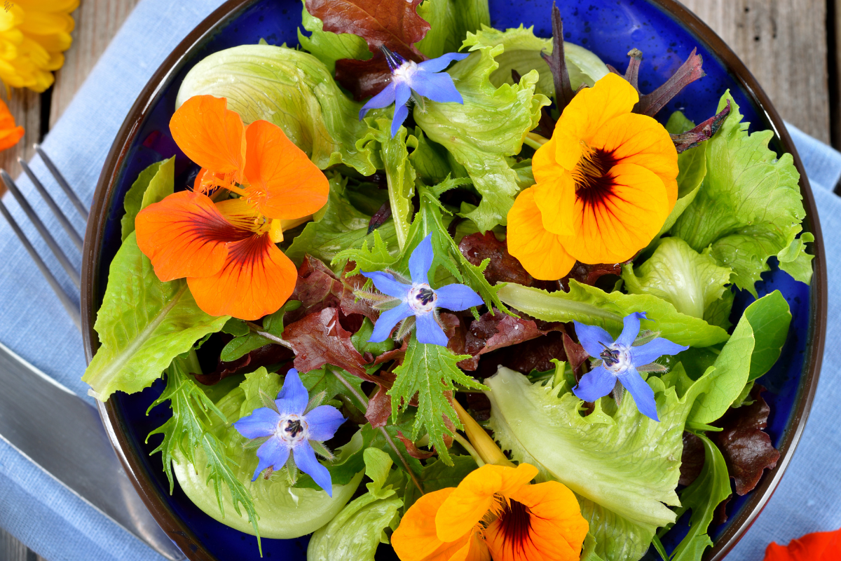 3 flores comestíveis que você não conhecia