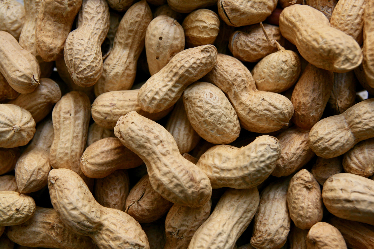 5 jeitos diferentes de comer amendoim nas festas juninas
