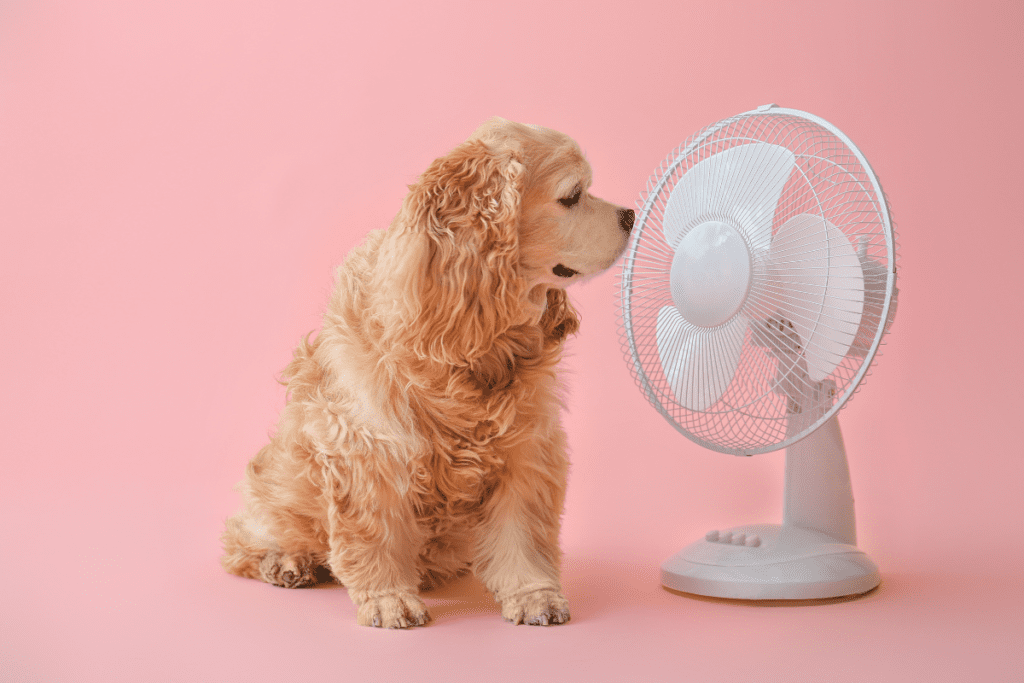 limpar o ventilador