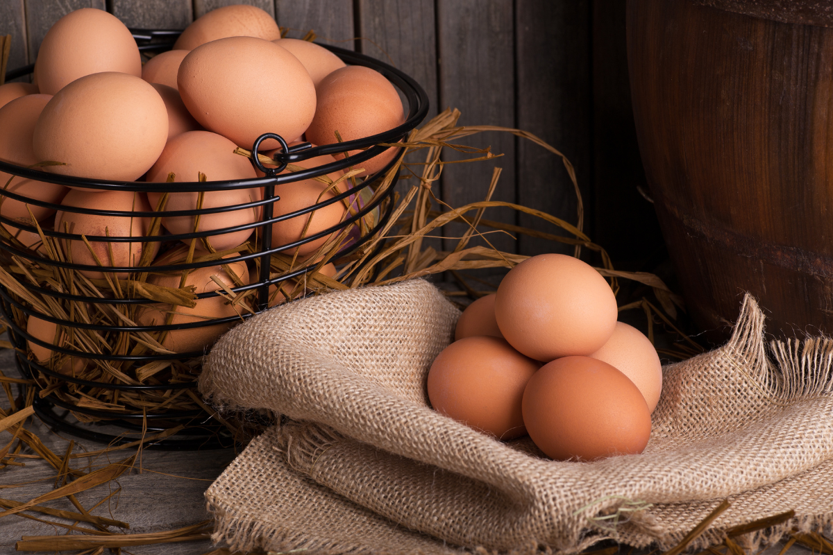 Pode comer ovo todos os dias? Descubra os prós e contras