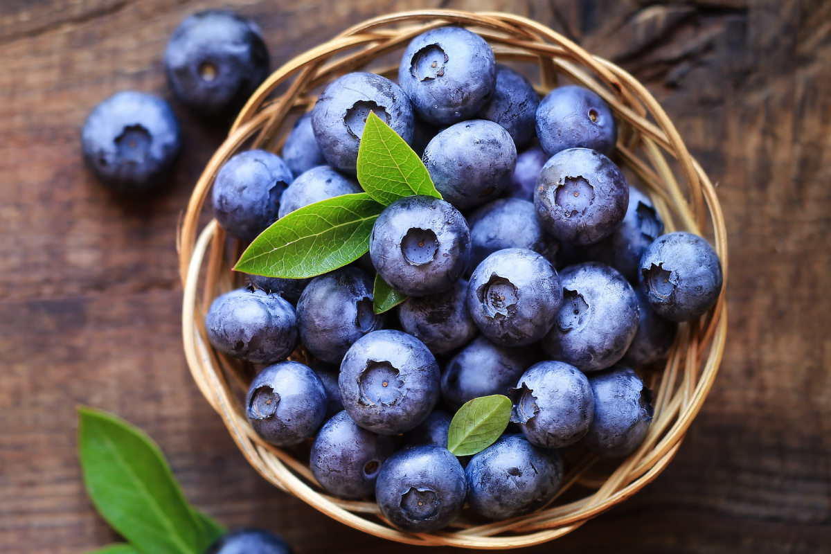5 motivos para adicionar o mirtilo na sua dieta diária