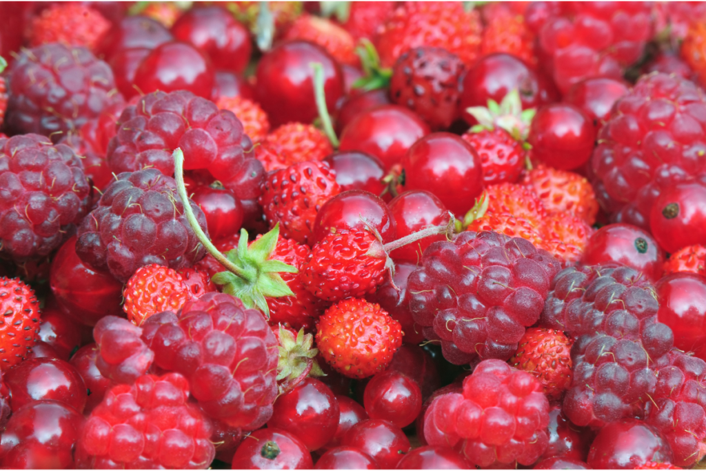 alimentos anti-inflamatórios
