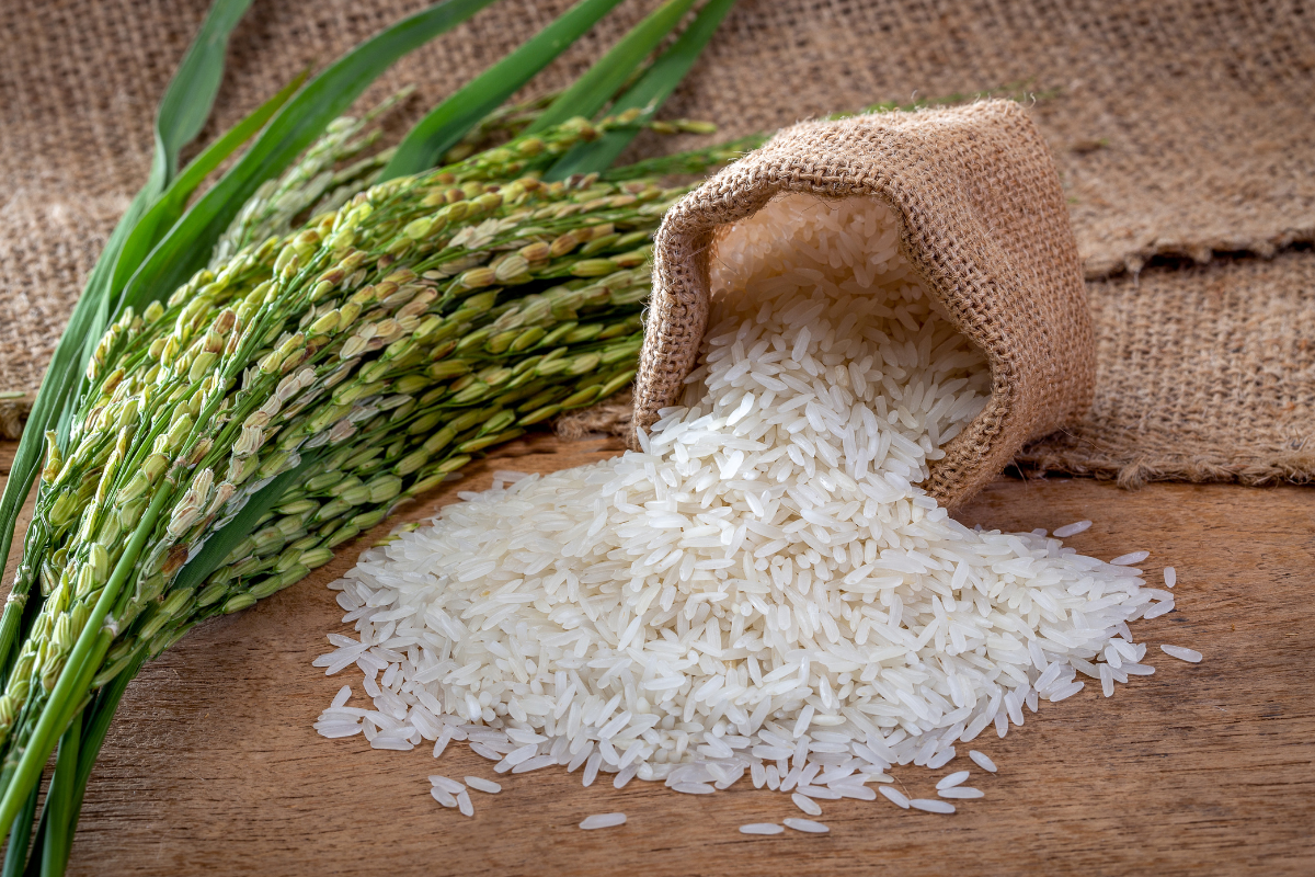 Arroz branco ou parboilizado: entenda as diferenças