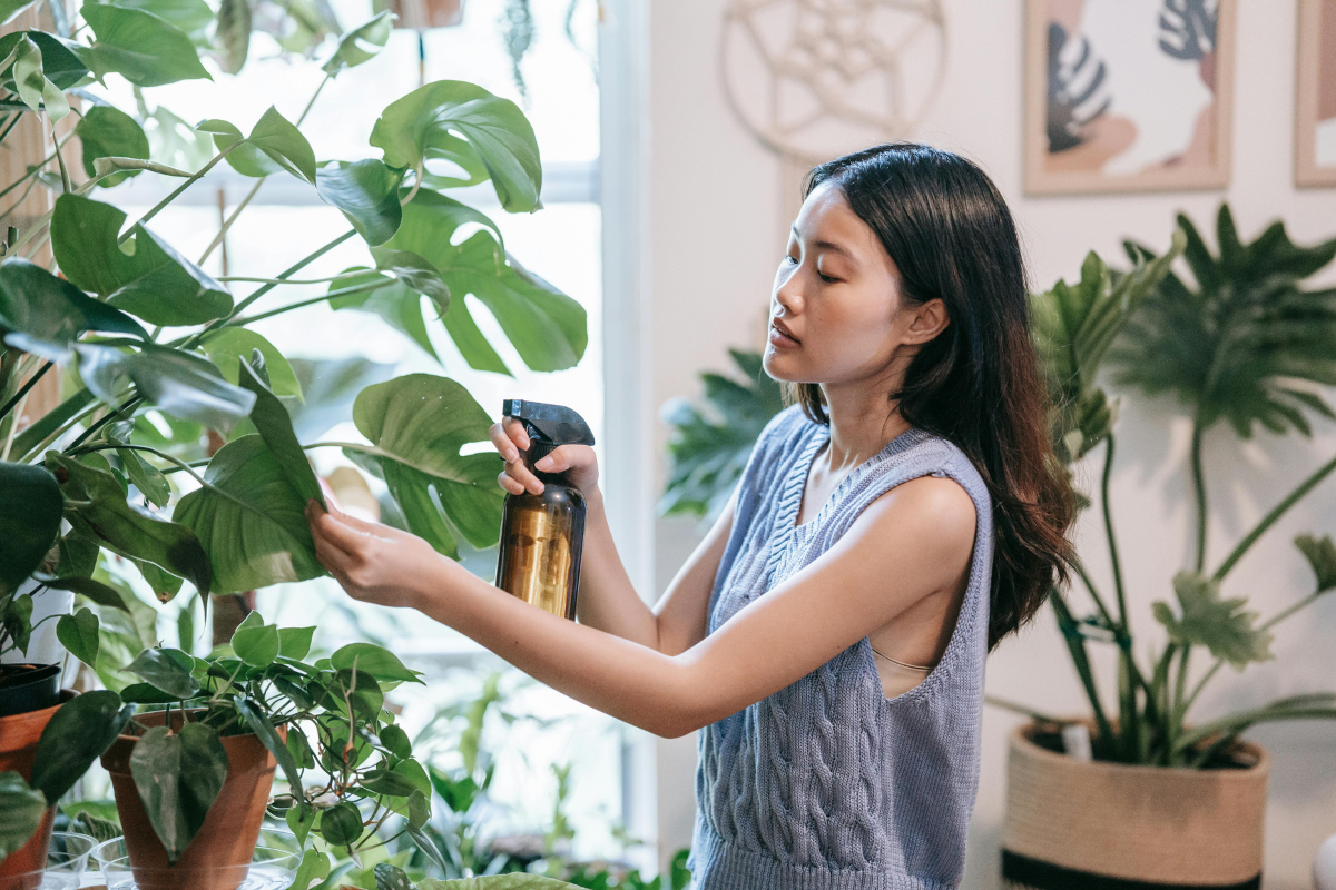 5 dicas práticas para cuidar melhor das plantinhas em casa