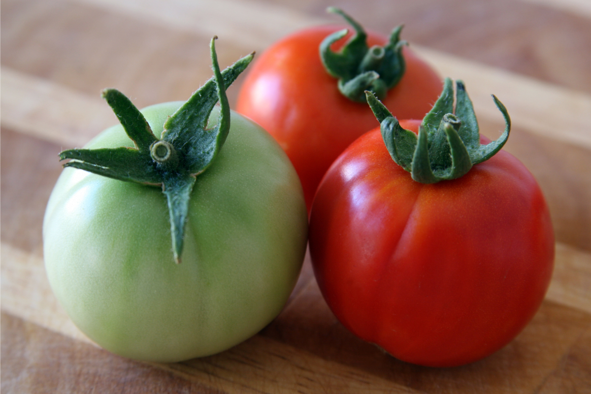 Tomate verde ou maduro: qual é o mais saudável?
