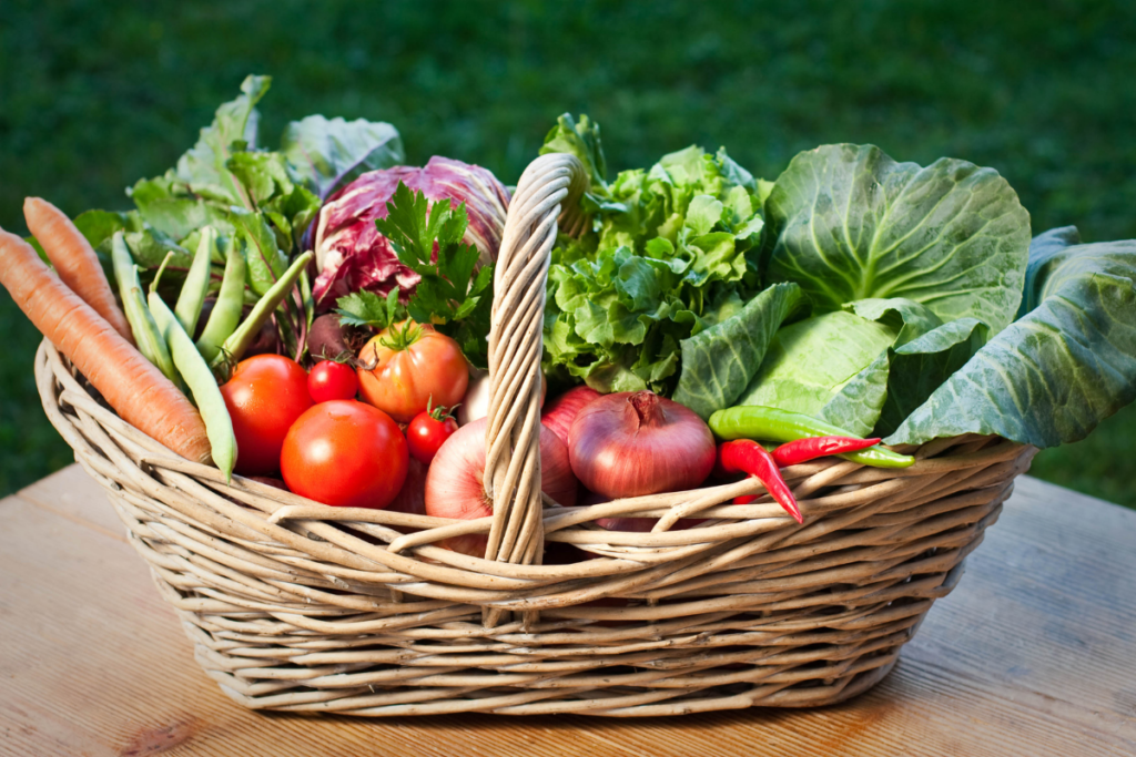 frutas e verduras do verão