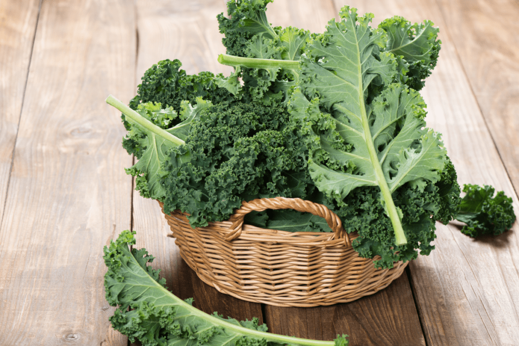 5 alimentos para adicionar à dieta em 2025