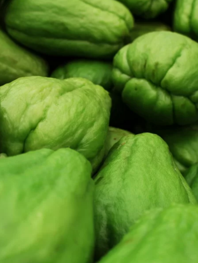 Benefícios do Chuchu