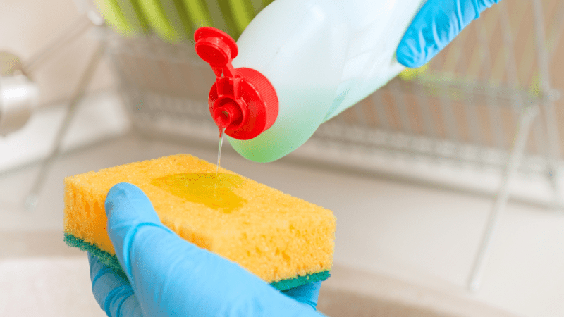 Como evitar que a esponja de lavar louça acumule bactérias?