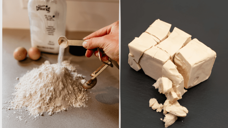 Qual a diferença entre fermento químico e fermento biológico?