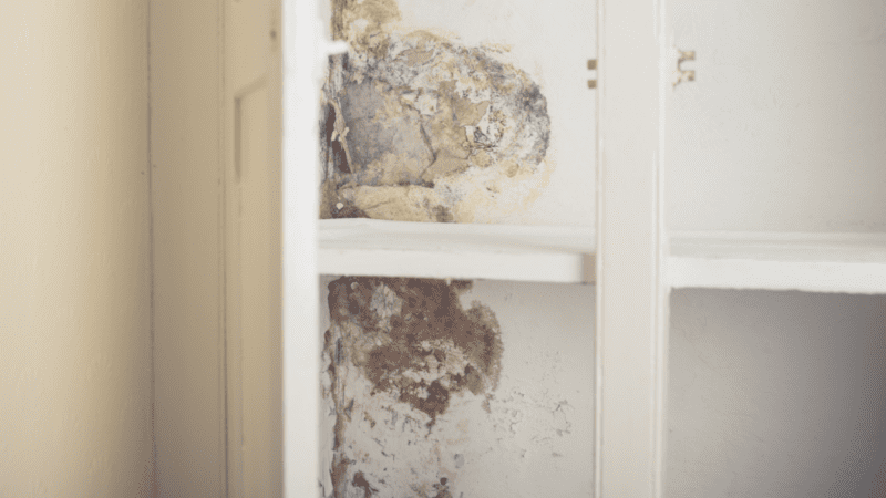 Como evitar mofo em armários e gavetas?