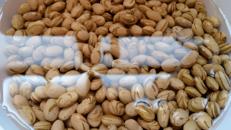 Deixar feijão de molho realmente reduz gases?