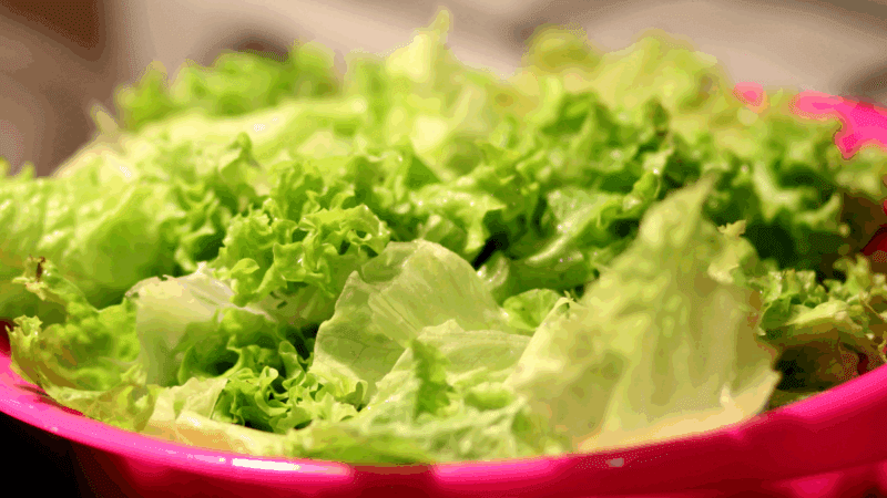 Como conservar alface por mais tempo na geladeira