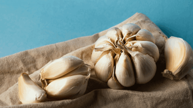 Alho cru ou cozido: o que é melhor para a saúde?
