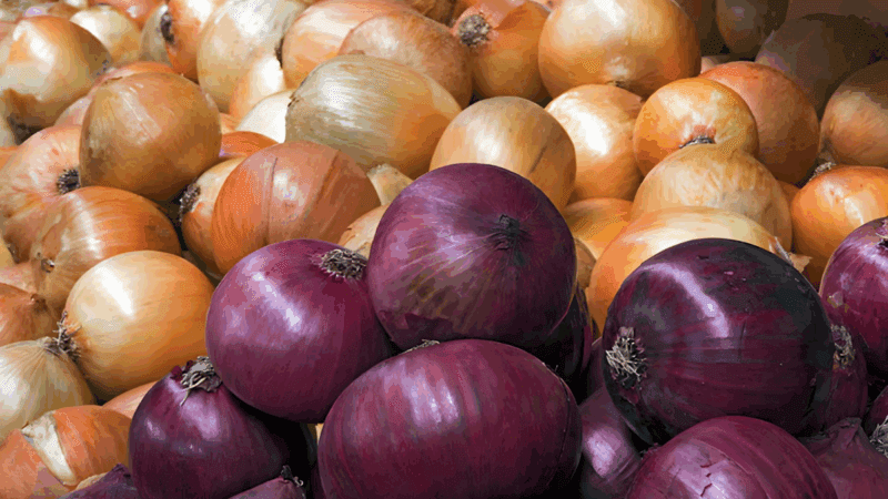 Cebola roxa x cebola branca: qual a melhor para cada receita?