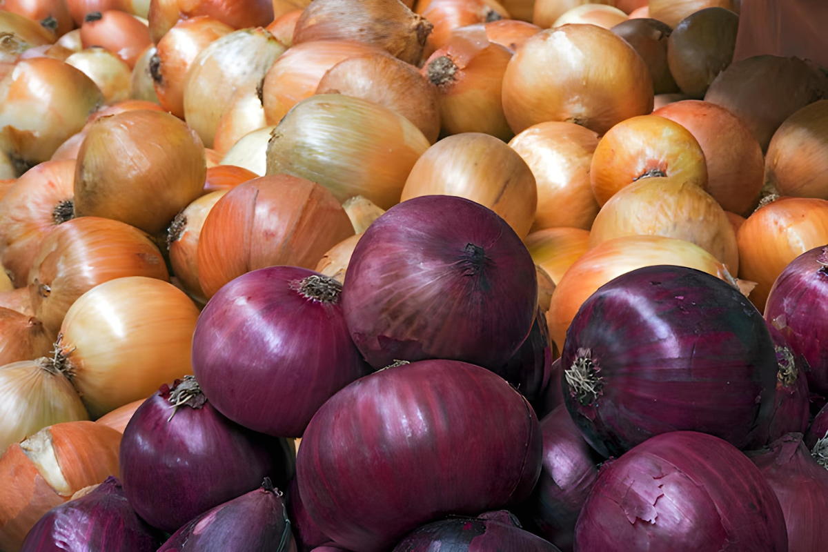Cebola roxa x cebola branca: qual a melhor para cada receita?