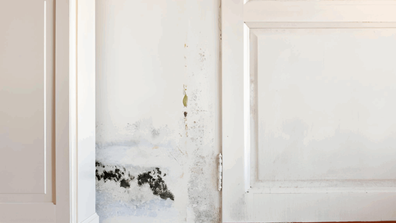 Como tirar cheiro de mofo dos armários com truques caseiros