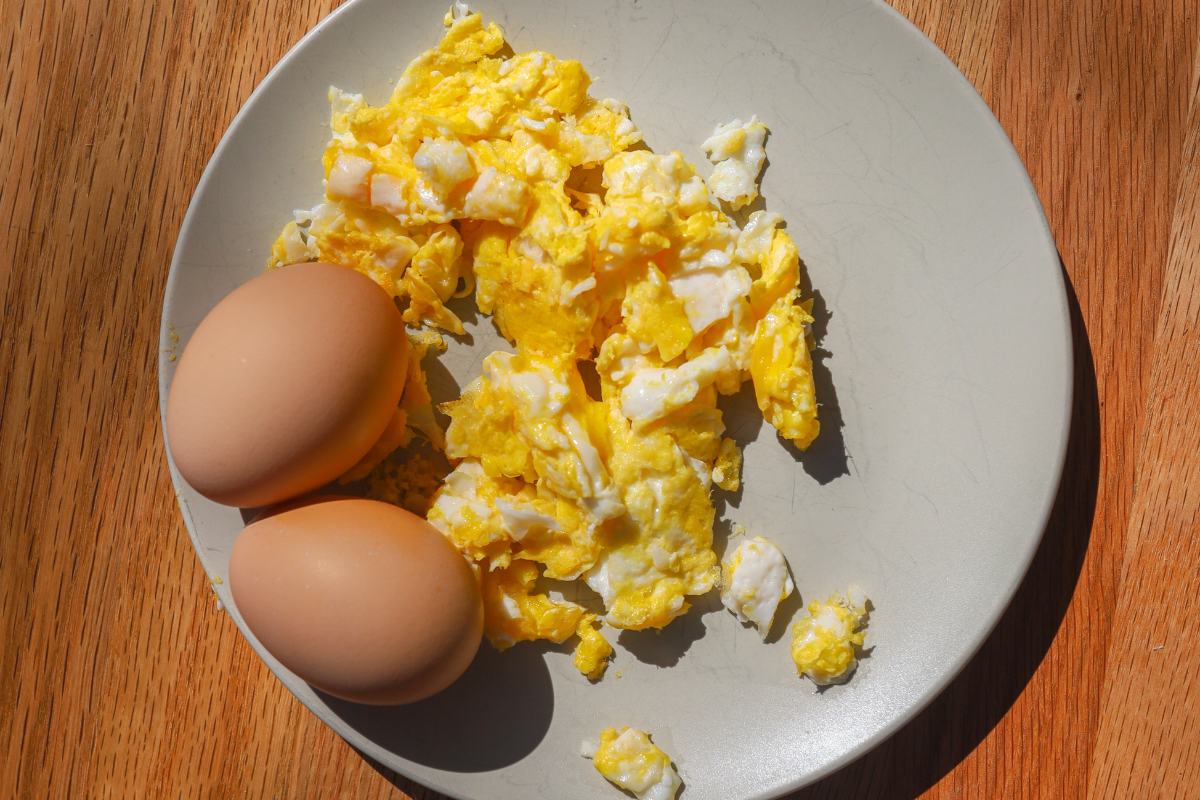 Receitas com ovo: 4 ideias rápidas, baratas e deliciosas