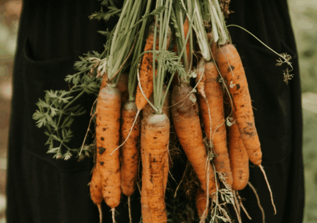 Benefícios da cenoura para a saúde