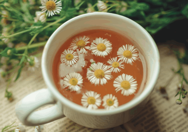 Benefícios do chá de camomila para a saúde