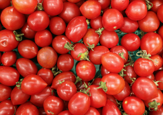 Benefícios do tomate para a saúde