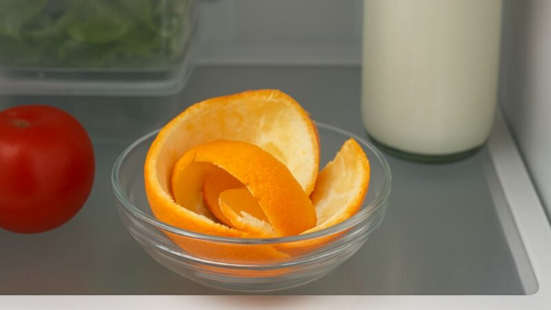 Veja o que acontece se você colocar casca de laranja na geladeira