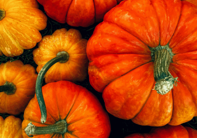 Benefícios da abóbora para a saúde