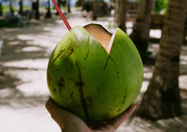 Benefícios do coco para a saúde