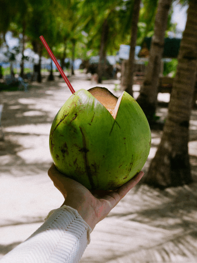 Benefícios do coco para a saúde