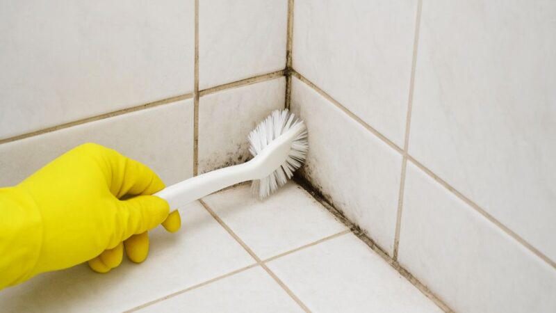 Dicas práticas para limpar os cantos do banheiro