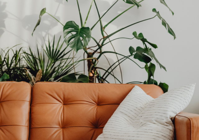 Tendências de decoração para 2026