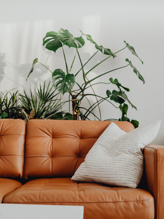 Tendências de decoração para 2026