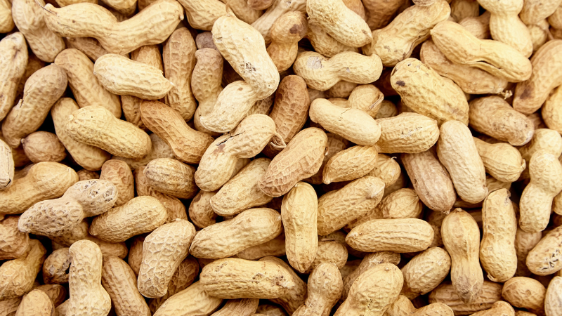 Como reaproveitar cascas de amendoim