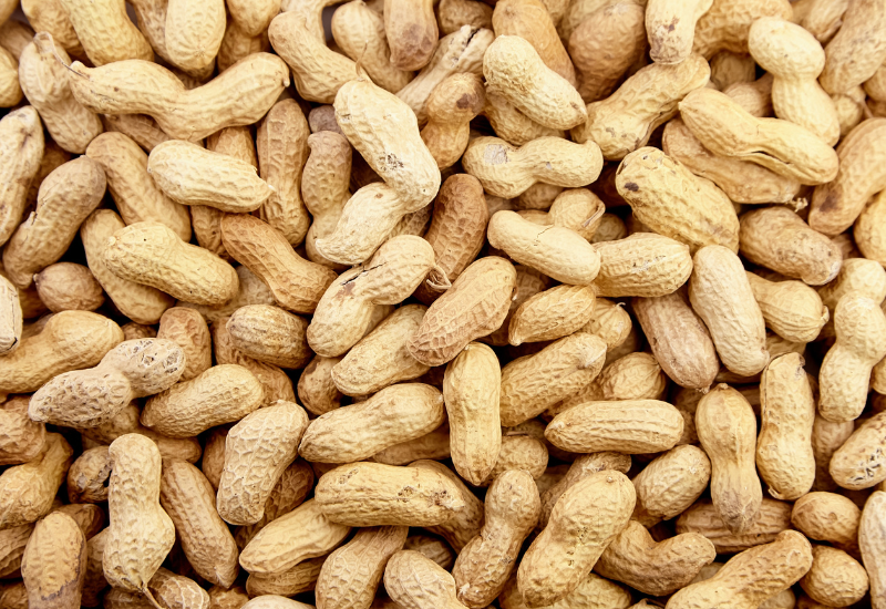 Como reaproveitar cascas de amendoim