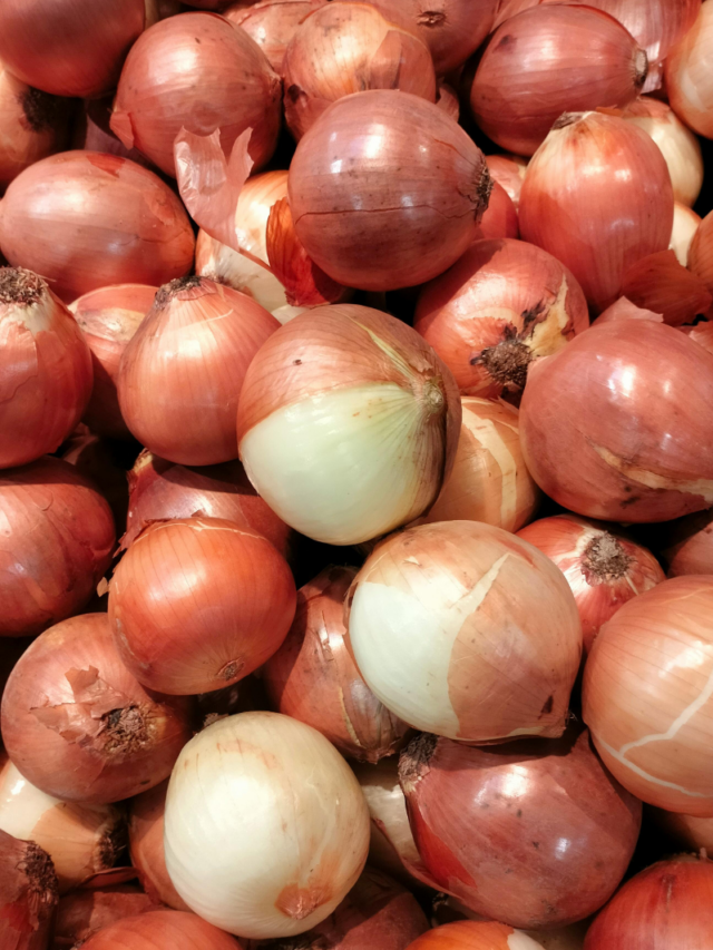 Tipos de cebola