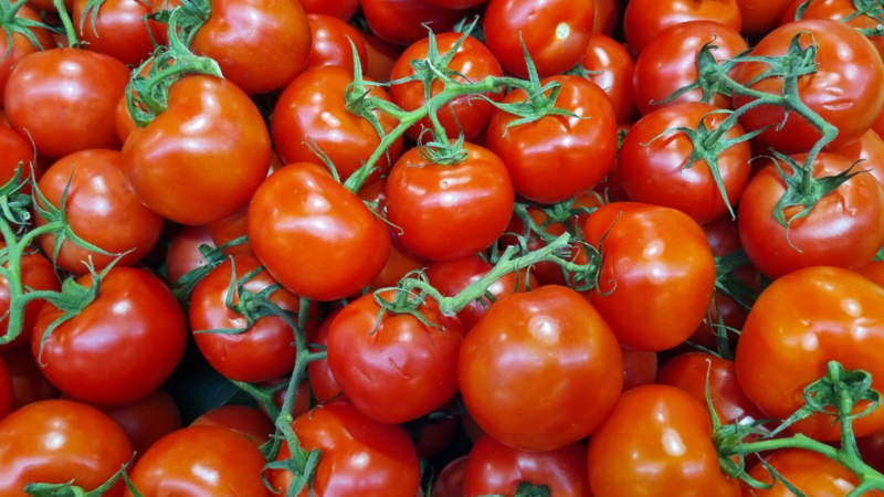 Você está guardando tomate errado (por isso estraga tão rápido)