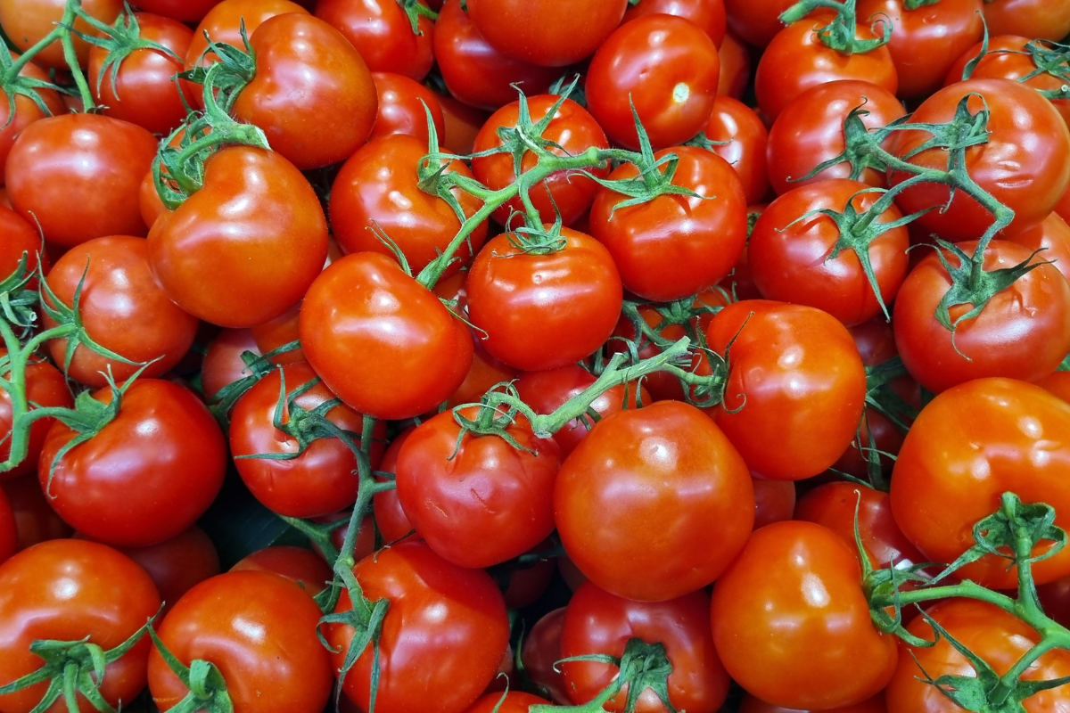 Você está guardando tomate errado (por isso estraga tão rápido)