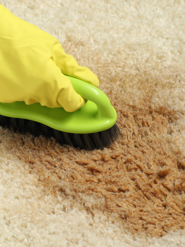 Dicas rápidas para remover manchas