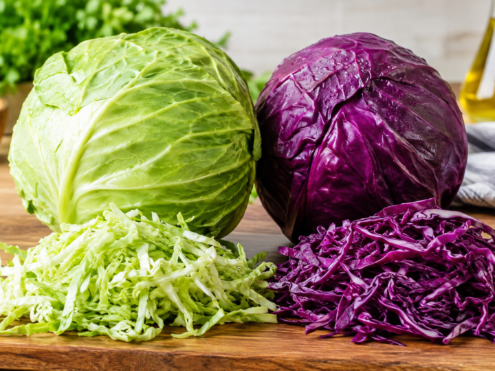 Repolho verde x repolho roxo: quais as diferenças?