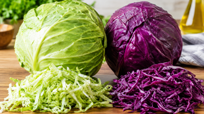 Repolho verde x repolho roxo: quais as diferenças?